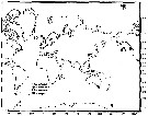 Species Epicalymma umbonata - Distribution map 4