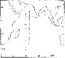 Species Gaussia sewelli - Distribution map 3