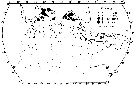 Espce Pleuromamma indica - Carte de distribution 3