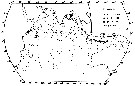 Espce Pleuromamma xiphias - Carte de distribution 4