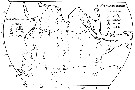 Espce Neocalanus gracilis - Carte de distribution 6