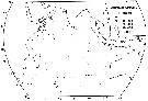 Espce Calanoides natalis - Carte de distribution 8
