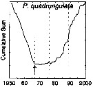 Espce Pleuromamma quadrungulata - Carte de distribution 4
