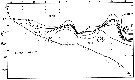 Espce Oithona atlantica - Carte de distribution 7
