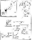 Espce Pseudodiaptomus japonicus - Carte de distribution 3