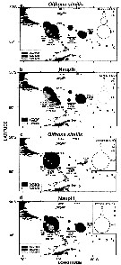 Espce Oithona similis-Group - Carte de distribution 12
