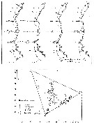 Espce Nannocalanus minor - Carte de distribution 9