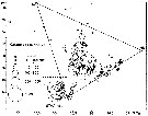 Espce Calanoides natalis - Carte de distribution 10