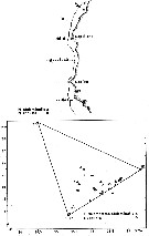 Espce Pleuromamma robusta - Carte de distribution 6
