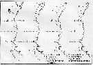 Espce Candacia longimana - Carte de distribution 6