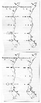 Espce Parvocalanus scotti - Carte de distribution 2