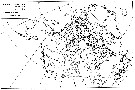 Espce Calanus finmarchicus - Carte de distribution 14