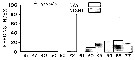 Espce Pleuromamma gracilis - Carte de distribution 11