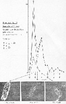 Espce Acartia (Acanthacartia) bifilosa - Carte de distribution 4