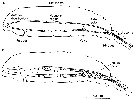 Espce Calanus helgolandicus - Carte de distribution 11