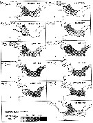 Espce Acartia (Acanthacartia) bifilosa - Carte de distribution 8