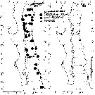 Espce Calanus pacificus - Carte de distribution 14