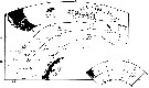 Espce Calanoides acutus - Carte de distribution 6