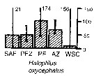 Espce Haloptilus oxycephalus - Carte de distribution 4