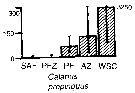 Espce Calanus propinquus - Carte de distribution 8