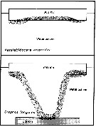 Espce Paralabidocera antarctica - Carte de distribution 5