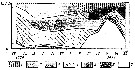 Espce Pseudocalanus elongatus - Carte de distribution 17