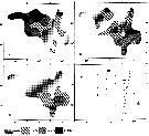 Espce Calanus finmarchicus - Carte de distribution 32