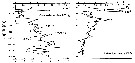 Espce Calanoides acutus - Carte de distribution 20