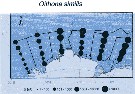 Espce Oithona similis-Group - Carte de distribution 25