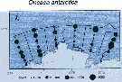 Espce Triconia antarctica - Carte de distribution 3