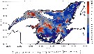 Espce Calanus finmarchicus - Carte de distribution 47