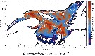 Espce Calanus finmarchicus - Carte de distribution 46