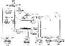 Espce Eurytemora affinis - Carte de distribution 7