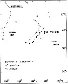 Espce Chiridius pacificus - Carte de distribution 2