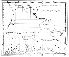 Espce Calanus propinquus - Carte de distribution 27