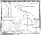 Espce Rhincalanus gigas - Carte de distribution 28