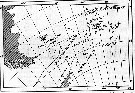 Espce Calanus simillimus - Carte de distribution 22