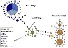 Espce Eurytemora affinis - Carte de distribution 9