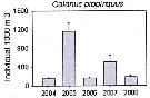 Espce Calanus propinquus - Carte de distribution 34