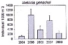 Espce Metridia gerlachei - Carte de distribution 19