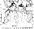 Espce Pleuromamma indica - Carte de distribution 4