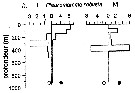 Espce Pleuromamma robusta - Carte de distribution 11