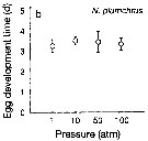 Espce Neocalanus plumchrus - Carte de distribution 14