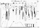 Espce Calanoides acutus - Carte de distribution 48