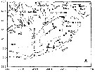 Espce Calanus finmarchicus - Carte de distribution 100