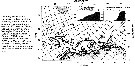 Espce Calanus finmarchicus - Carte de distribution 114
