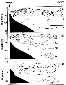 Espce Metridia okhotensis - Carte de distribution 3