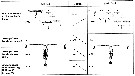 Espce Calanus finmarchicus - Carte de distribution 137