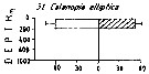 Espce Calanopia elliptica - Carte de distribution 3