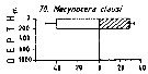 Espce Mecynocera clausi - Carte de distribution 6